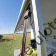 Chinga furtuna Tie Down S Galben