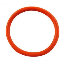 O-ring