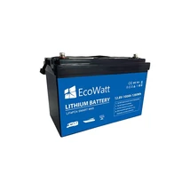Baterie LiFePO4 Ecowatt 12.8V 100Ah 