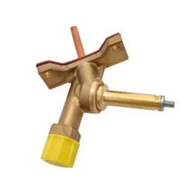 Robinet boiler