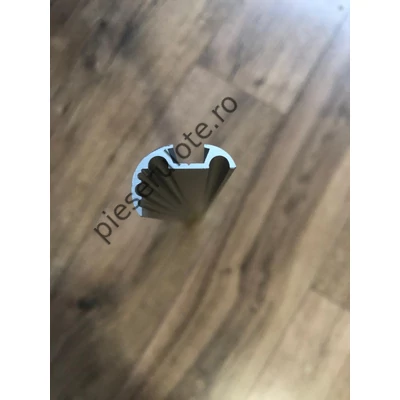 Sina de profil