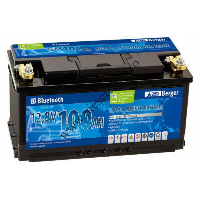Baterie LiFePo4 100 Ah cu Bluetooth