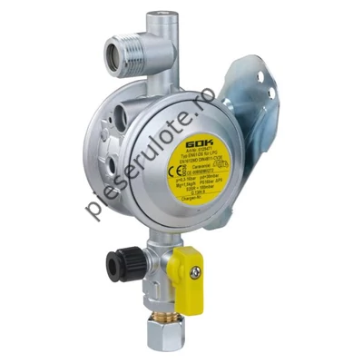 Reductor gaz presiune 1,5 kg/h