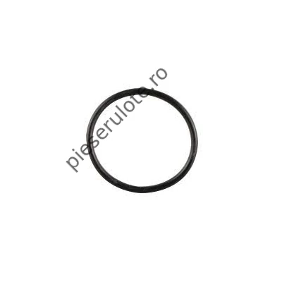 O-ring pentru compartimentul pentru hartie igienica WCThetford